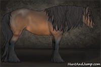 Horse Color:Brown 