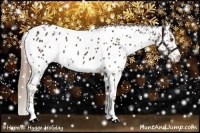 Horse Color:Liver Chestnut Splash Appaloosa 