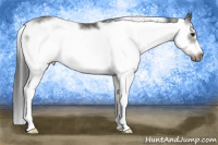 Horse Color:Black Sabino Frame