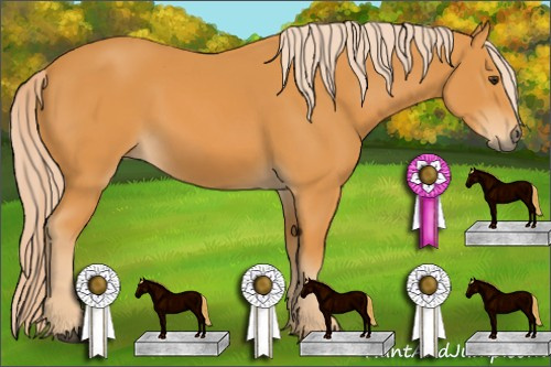 Horse Color: Chocolate Palomino 