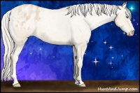 Horse Color:Palomino Pearl Sabino Varnish Rabicano 
