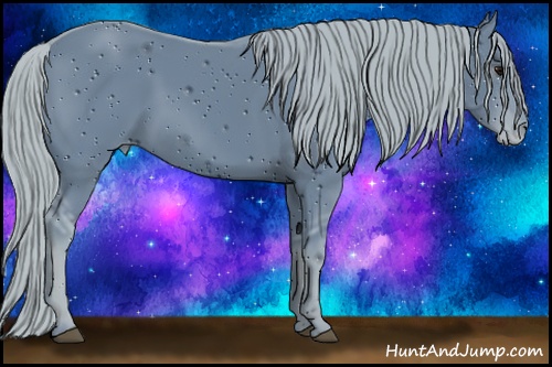 Horse Color: ERROR: UNKNOWN ANOMALY