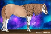 Horse Color:Gold Champagne Splash 