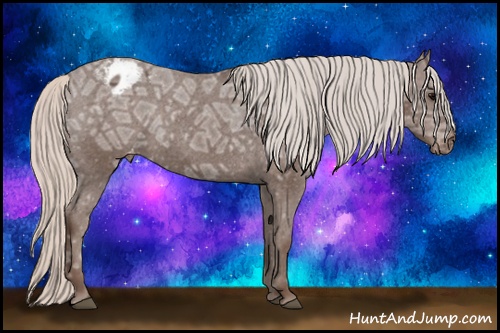 Horse Color: Silver Black Ice Blanket 