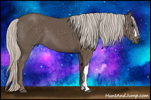 Horse Color: Silver Black 