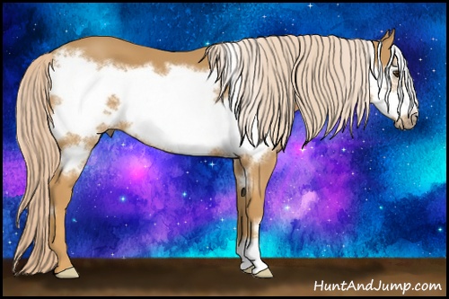 Horse Color: Palomino Frame 