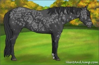 Horse Color:Black Ice 