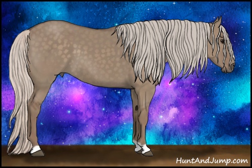 Horse Color: Silver Grullo 