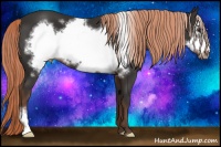 Horse Color:Liver Chestnut Frame 
