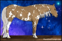 Horse Color:White Spotted Silver Smoky Black 