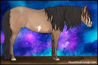 Horse Color:Amber Champagne Frame 