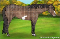 Horse Color:Plaid Bay Frame