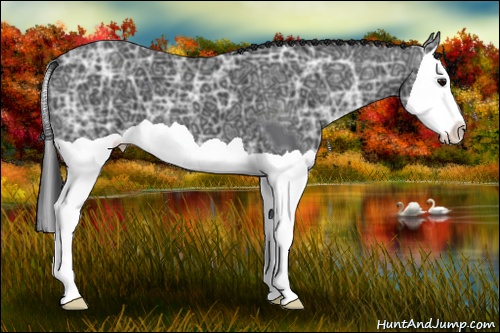 Horse Color:Black Ice Splash 