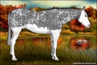 Horse Color:Black Ice Splash
