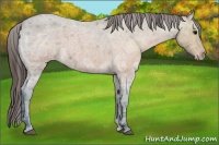 Horse Color:Brown Ice Roan Varnish 