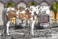 Horse Color:Buckskin Sabino 