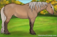 Horse Color:Silver Brown Dun Rabicano 