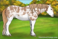 Horse Color:Chestnut Ice Splash 