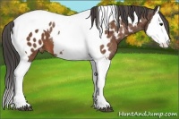 Horse Color:Bay Splash Tobiano Near Leopard  Brindle