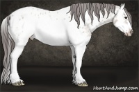 Horse Color:Brown Ice Roan Dun Splash Frame Near Leopard Rabicano 