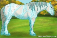 Horse Color:Thunderstruck Red Dun Appaloosa 