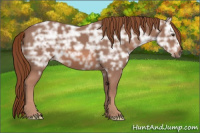 Horse Color:Liver Chestnut Ice 