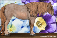 Horse Color:Red Roan 