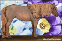 Horse Color:Red Roan 