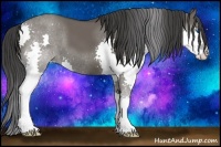 Horse Color:Grullo Splash 