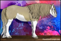 Horse Color:Watercolor Red Roan Splash 