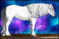 Horse Color:White Spotted Grullo Splash 