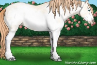 Horse Color:White Spotted Amber Cream Champagne Ice Pearl Frame 
