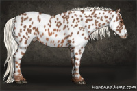 Horse Color:Liver Chestnut Mushroom Near Leopard 