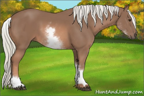 Horse Color: White Spotted Liver Chestnut Mushroom Sabino 