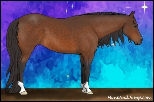 Horse Color: Buckskin 