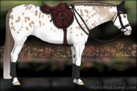 Horse Color:Amber Champagne Splash Appaloosa 