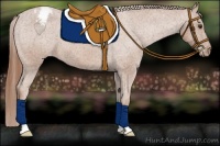 Horse Color:Chestnut Snowcap 