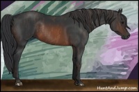 Horse Color:Brown Rabicano  Brindle