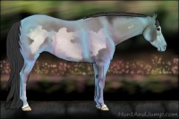 Horse Color:Black Frame 