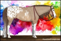 Horse Color:Sable Champagne Splash Blanket 