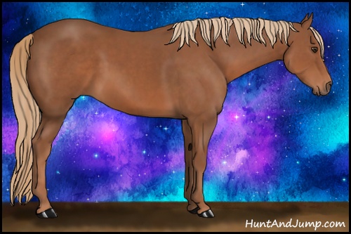 Horse Color: Chestnut 