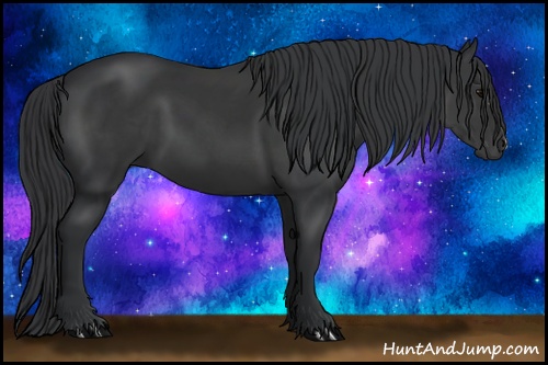 Horse Color: Black 