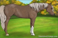 Horse Color:Silver Black 