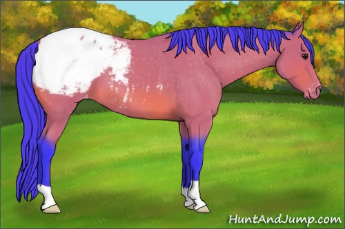 Horse Color: Watercolor Bay Roan Snowcap 