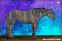 Horse Color:Nacre Blue Roan Rabicano