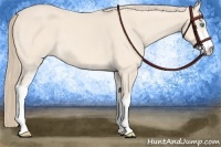 Horse Color:Perlino Sabino