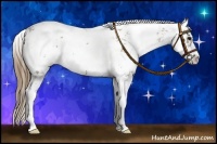 Horse Color:Smoky Grullo Sabino Varnish 