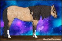 Horse Color:Bay Ice Dun 