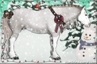 Horse Color:Silver Black Splash