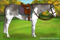 Horse Color:Smoky Black Splash 